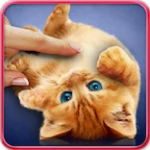 purring cats android application logo